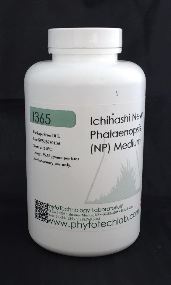 I365 ICHIHASHI NEW PHALAENOPSIS MEDIUM 1L