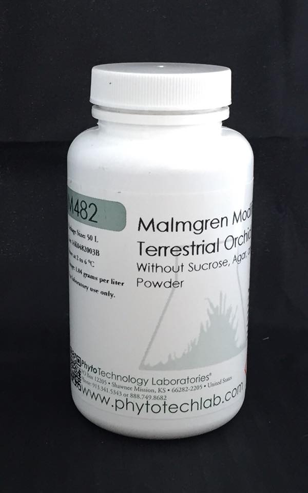M482 MALMGREN MODIFIED TERRESTRIAL ORCHID 1L